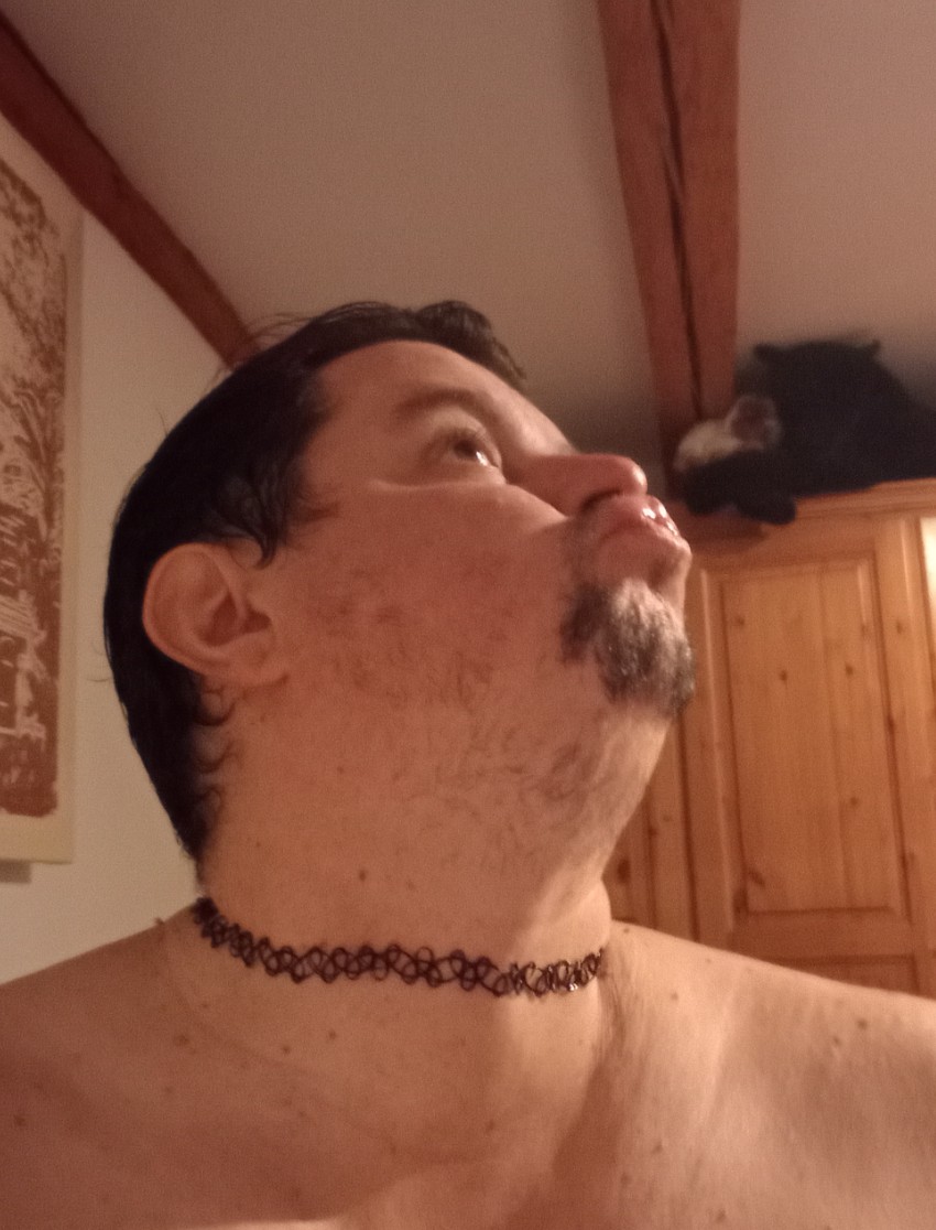 Bonne Nuit